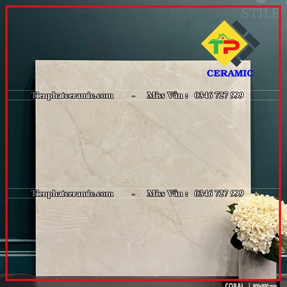 CORAL IVORY - POLISH ST 800x800 
