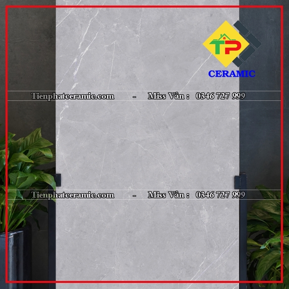 PULPIS GREY GRANDE - POLISH ST